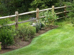 Locust Rail Fence in Lynnfield MA