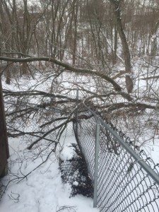 Scenes like these (from one of our customer's yards) are all too common in the winter months. 